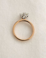 Close up shot of 2ct round brilliant engagement ring in rose gold with white gold prongs.
