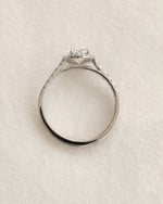 Close up shot of white gold oval halo engagement ring. 